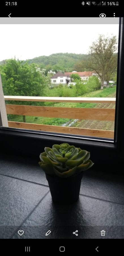 Eco Familia Hotel Pojoga Buitenkant foto
