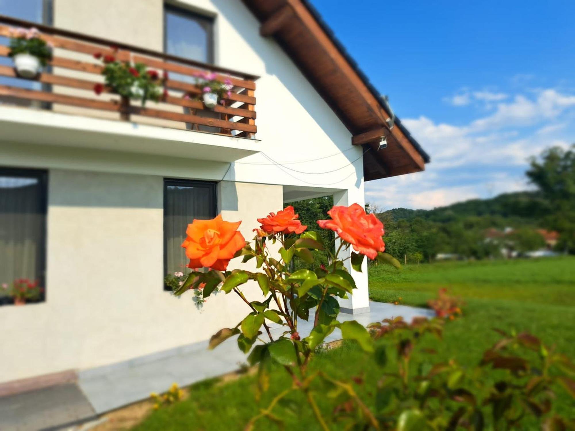 Eco Familia Hotel Pojoga Buitenkant foto